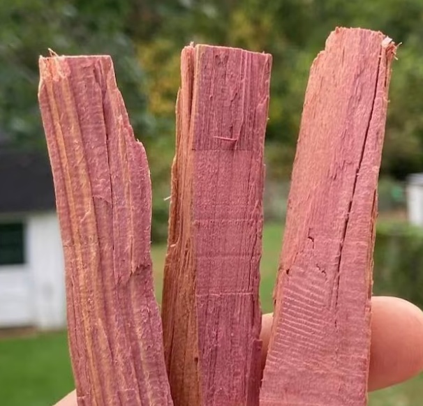 Eastern Red Cedar Sticks – Bundle of 4