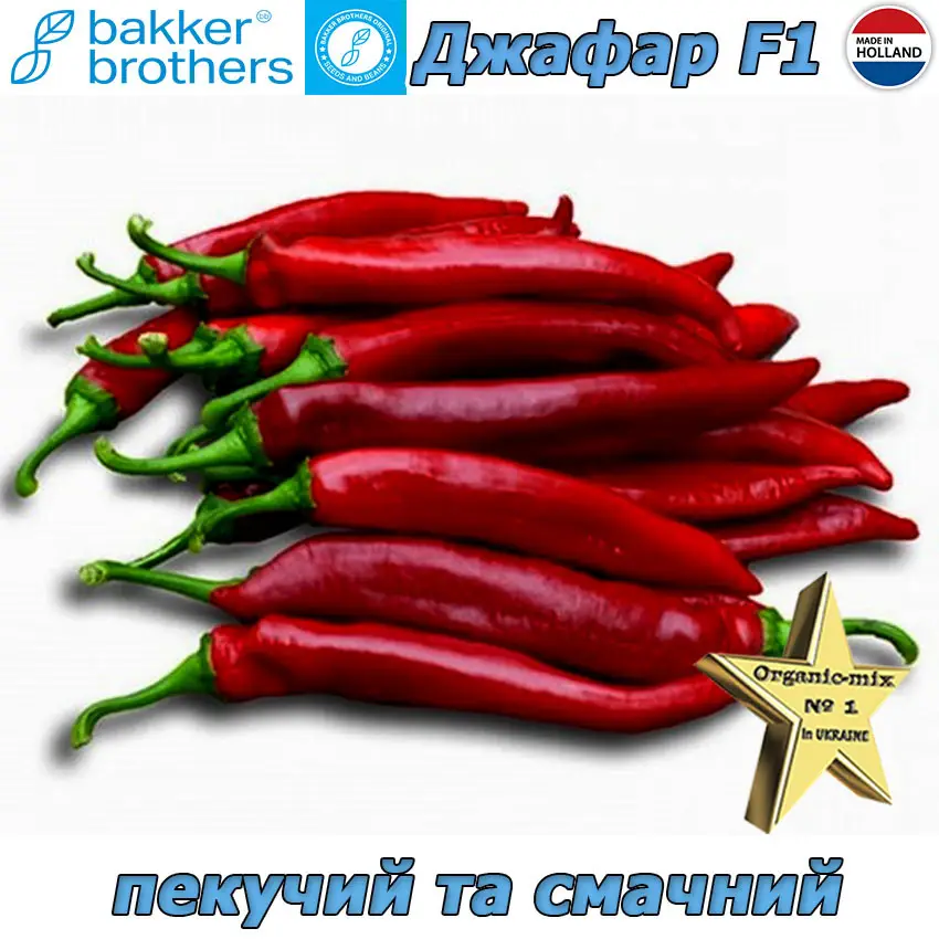 Перець гіркий Джафар F1 / Jafar F1, ТМ Bakker Brothers (Нідерланди), 100 насінин