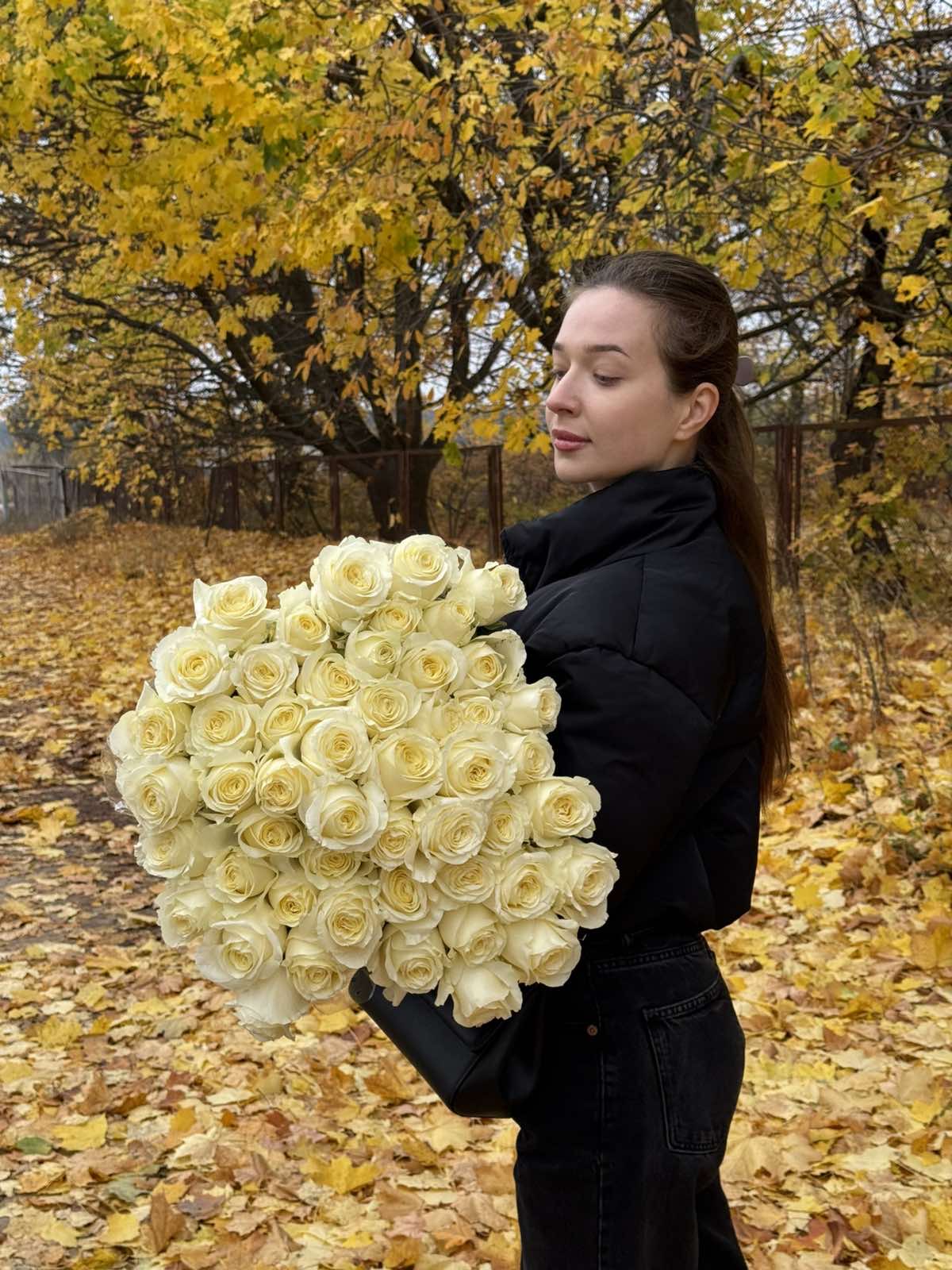 Кремова троянда "Іванна"