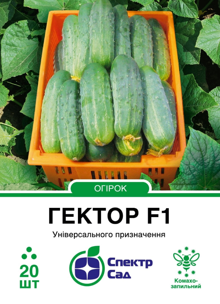 Огірок Гектор F1, 20 шт
