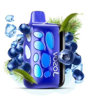 Vozol Rave 40000 Blueberry Ice (Чорниця Лід)