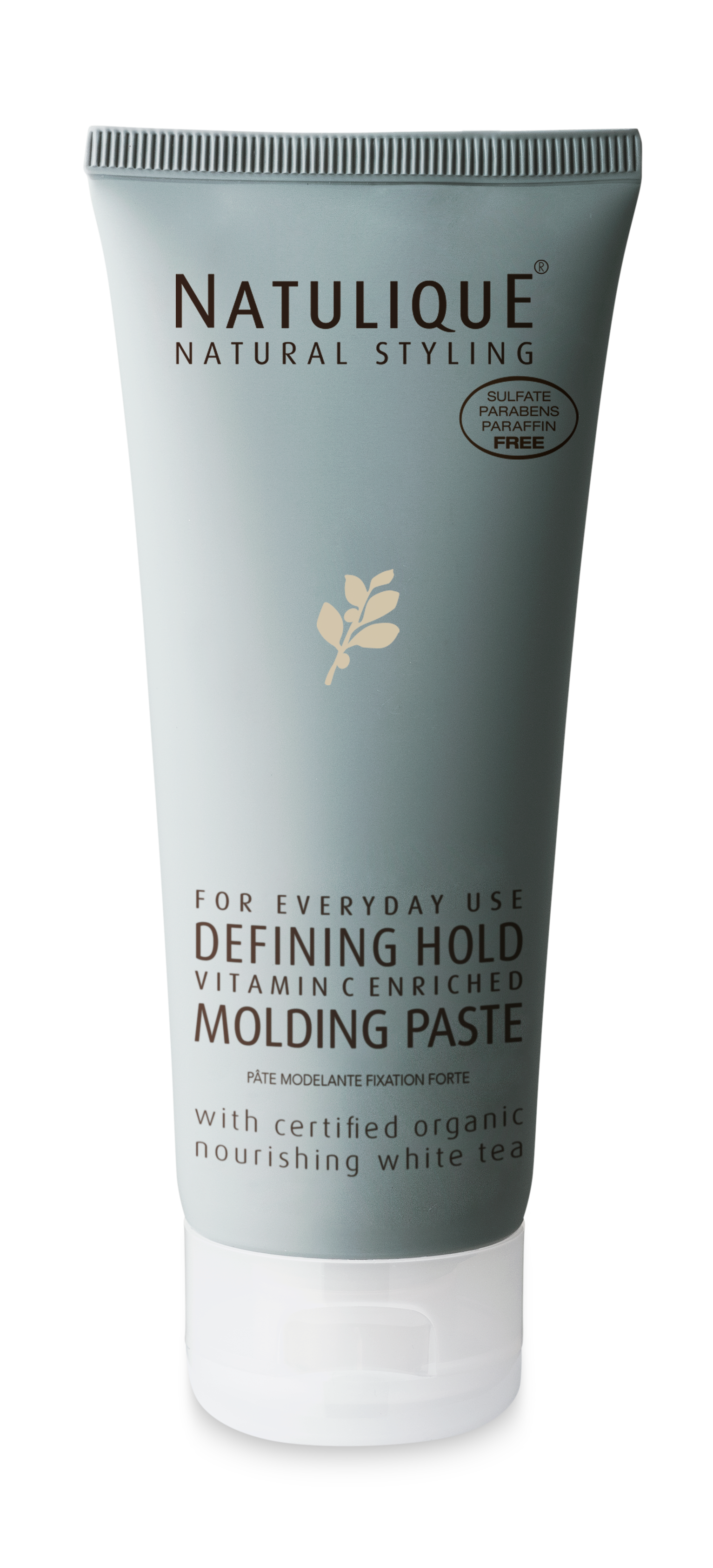 Defining Hold Molding Paste