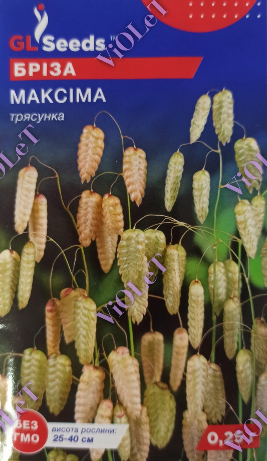 Бріза Максіма трясунка, 0,25 г, GL Seeds
