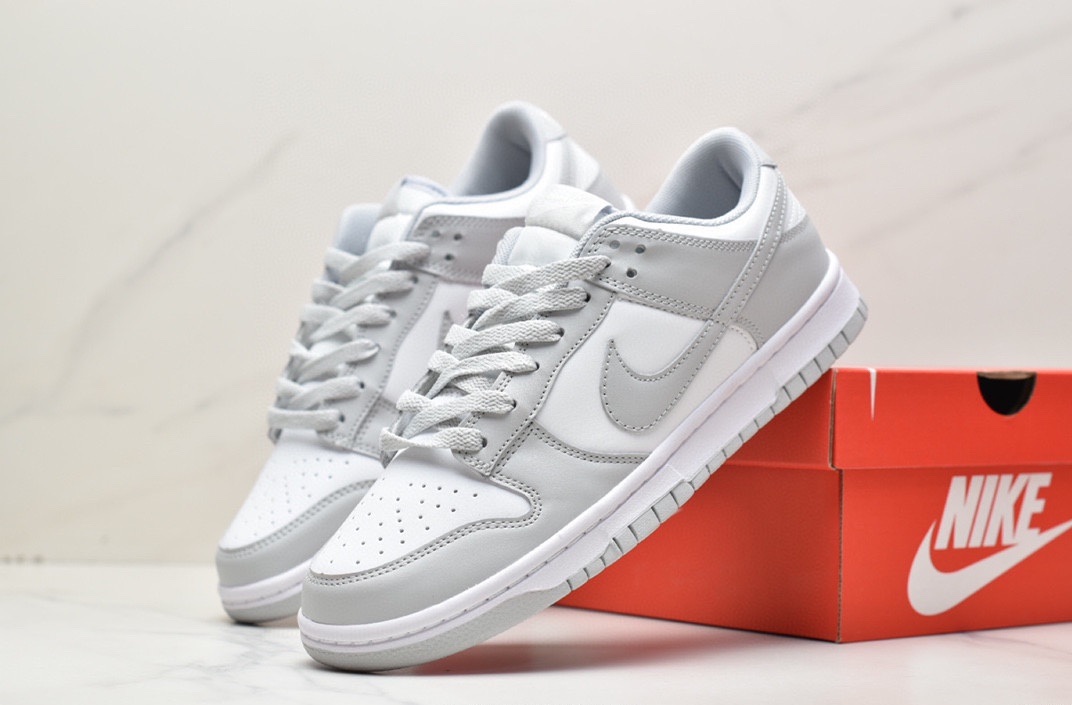 Nike SB Zoom Dunk Low DD1391-100