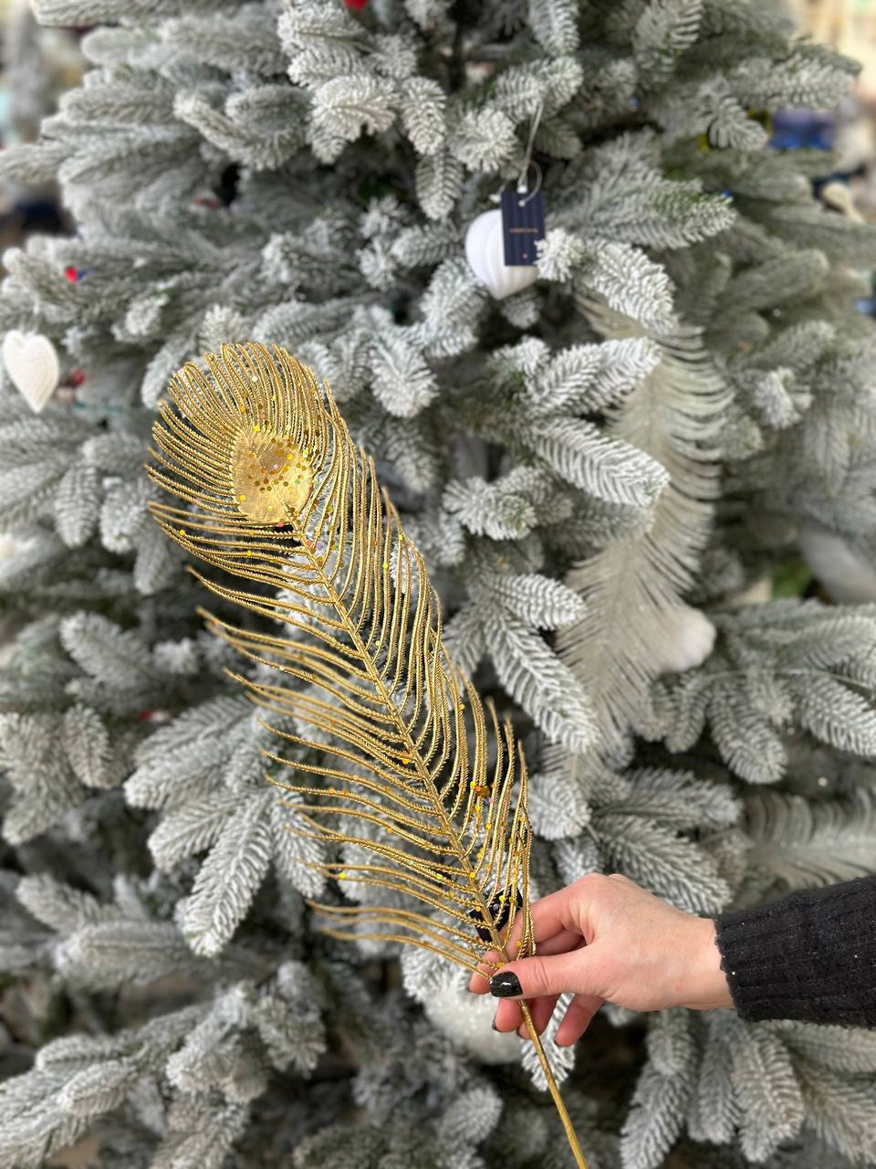 Декоративна гілка Перо Павича, 69 см