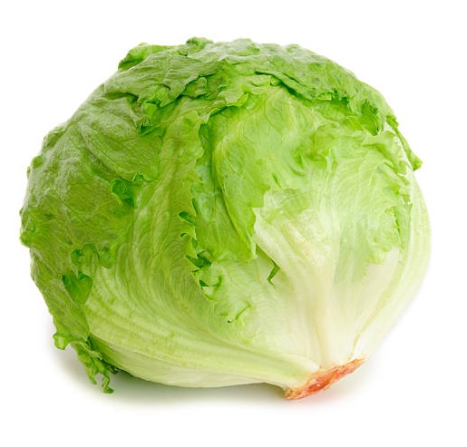 SALADE LAITUE BATAVIA BLONDE BIO 1KG