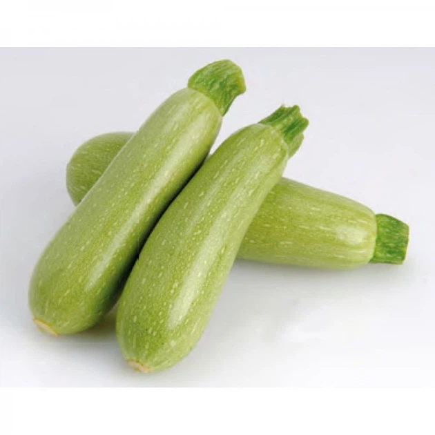 АРАЛ F1 / ARAL F1  Кабачок, Sakata 1000 нас