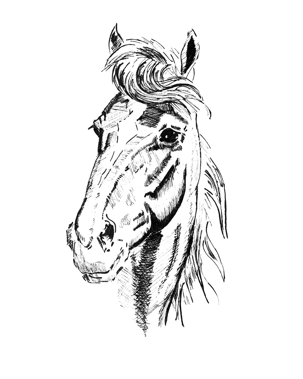 Pony 1