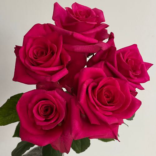 Хот Експлорер (Hot Explorer)