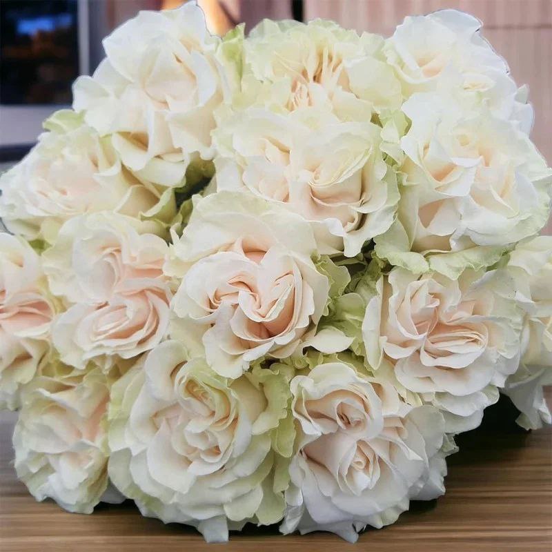 Коттон Експрешн (Cotton X-Pression)