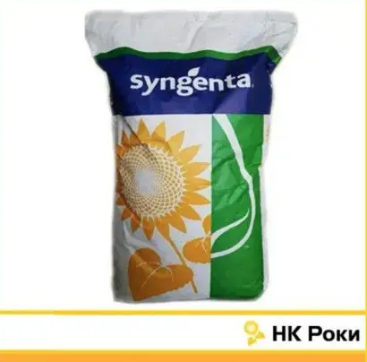 Насіння соняшнику Купава Syngenta, насіння високоврожайного соняшнику Сингента