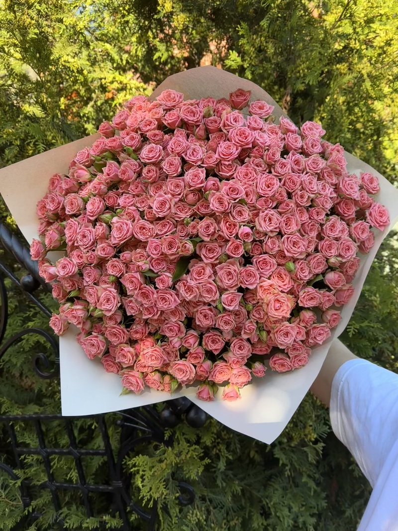 101 гілкова троянда "Пінк Ванесса"