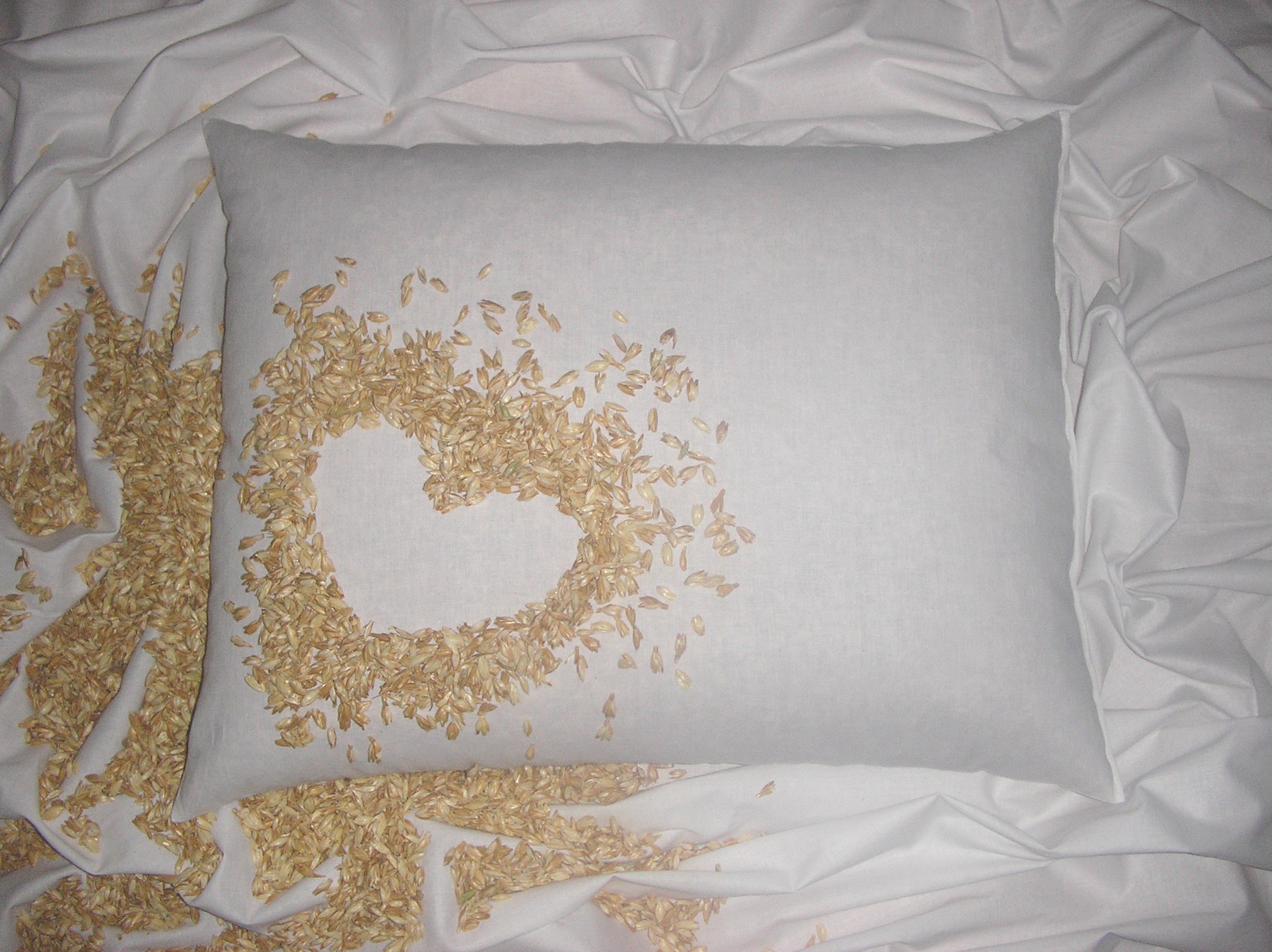 Špaldový vankúš 40x50cm