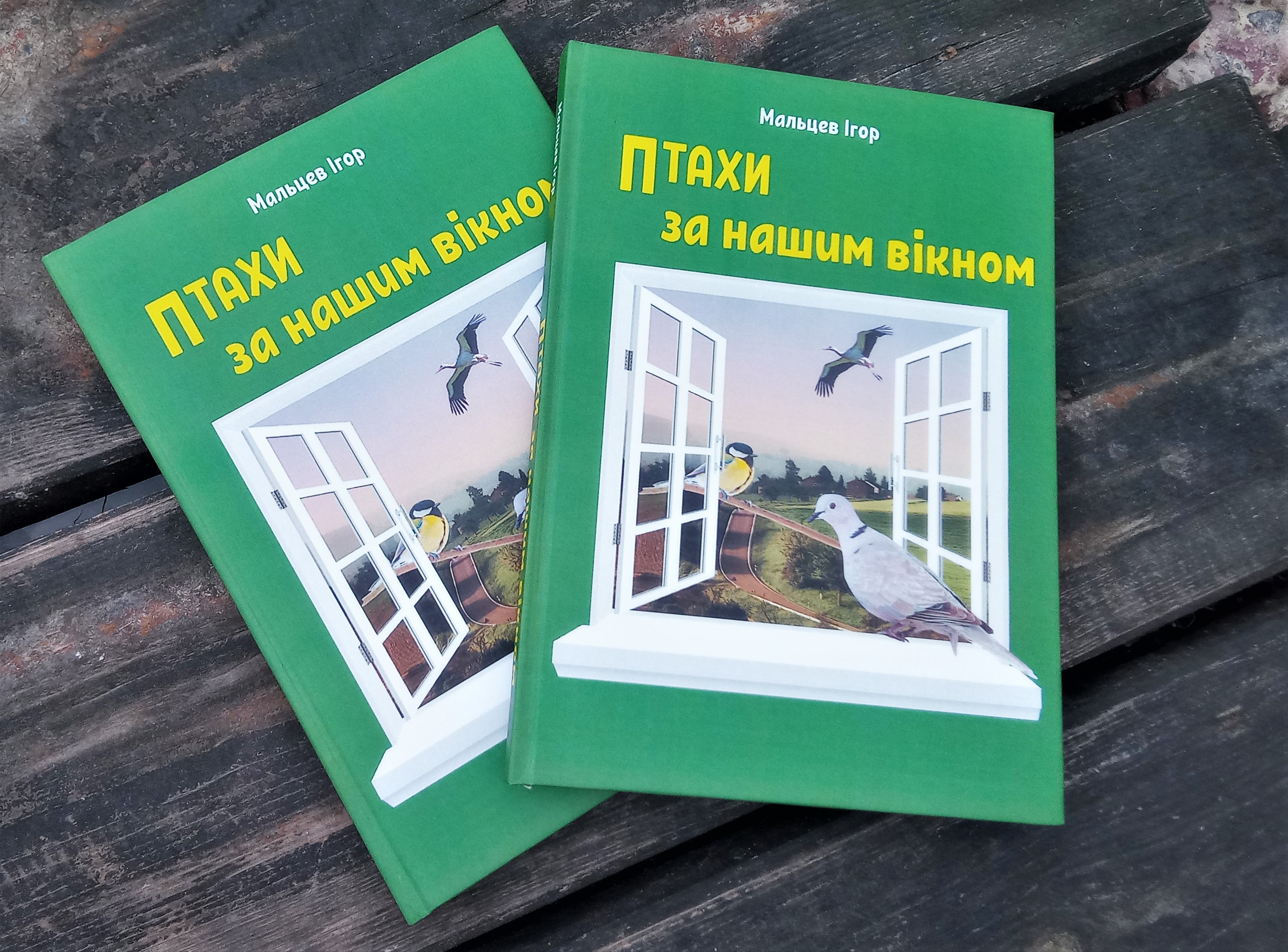 Електронна версія книги "Птаха за нашим вікном"