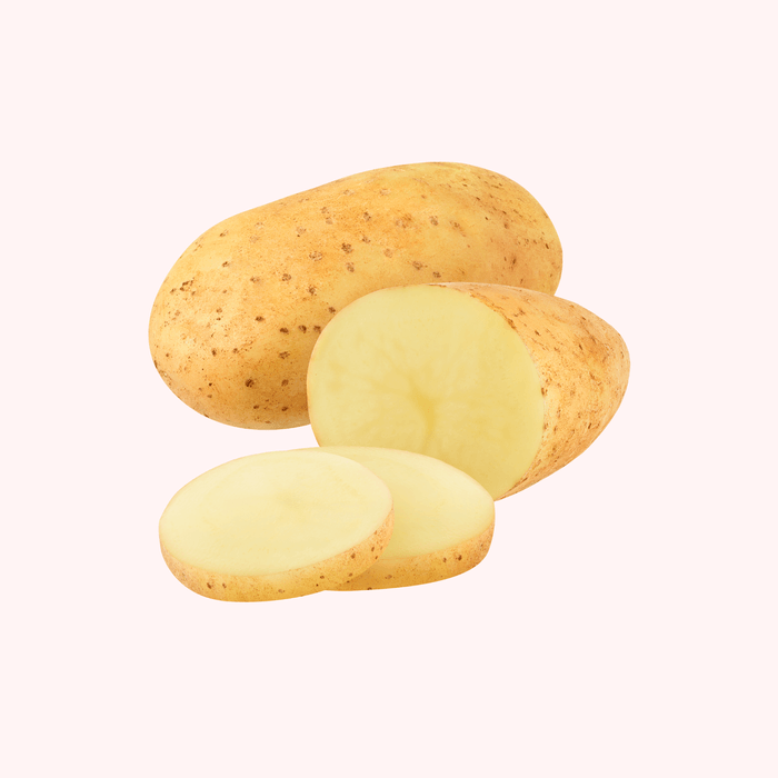 Papa Blanca
