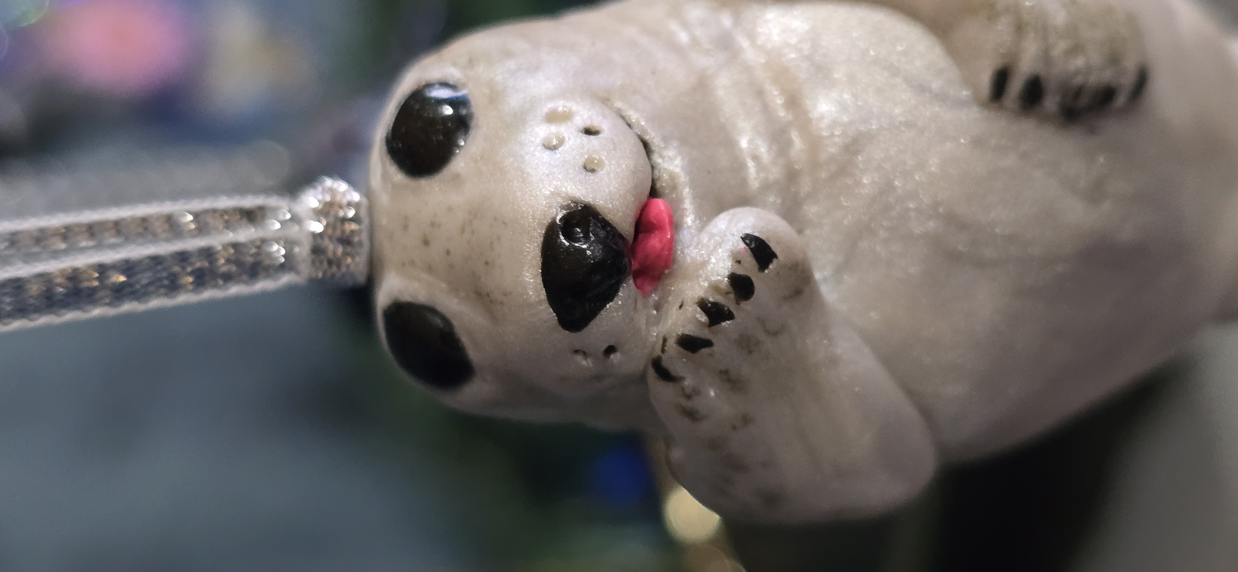 Chunky Baby Seal