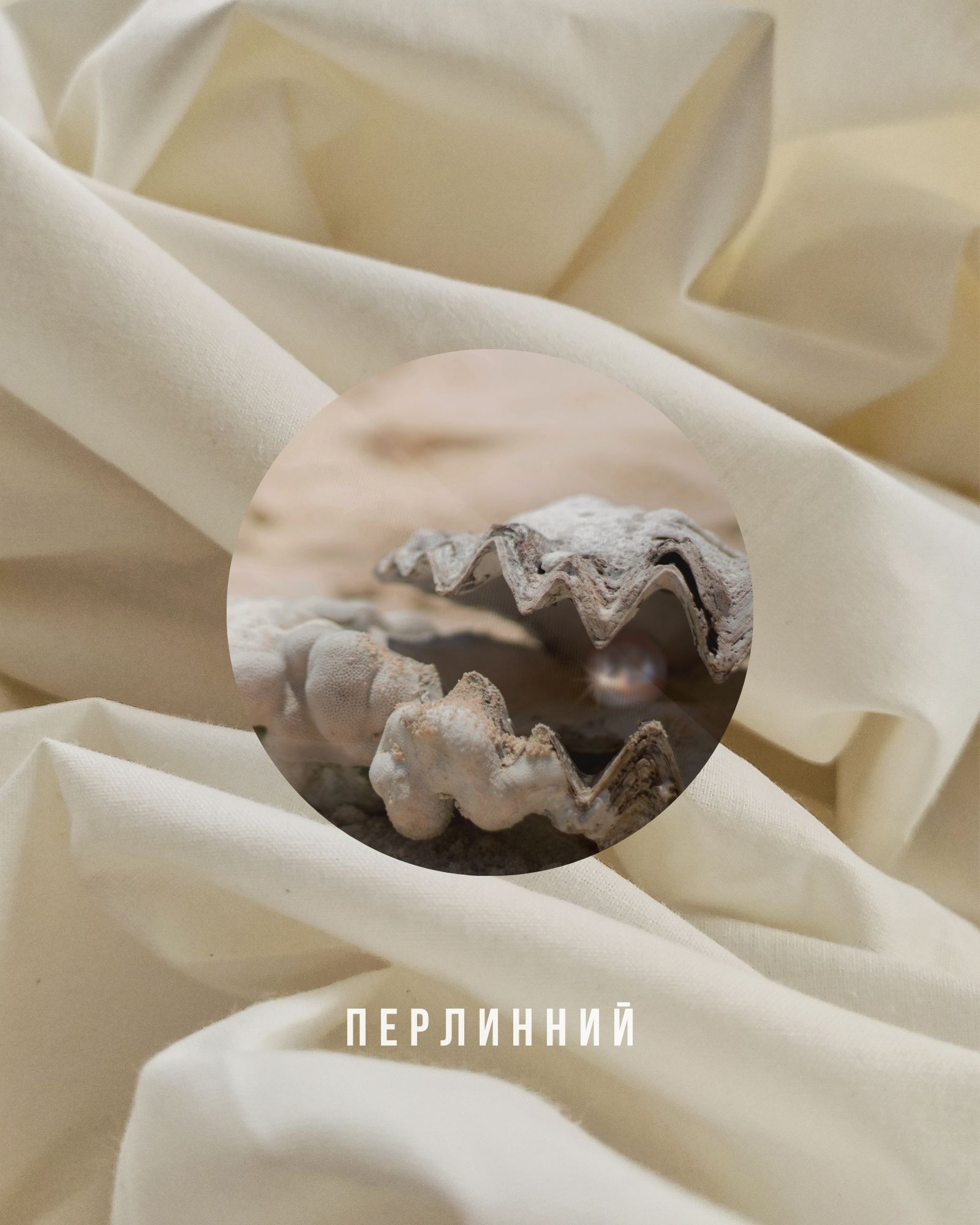 Простирадло звичайне Перлинне