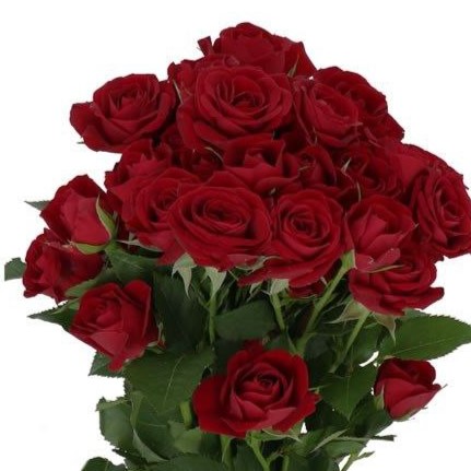 Рубікон (Rubicon)