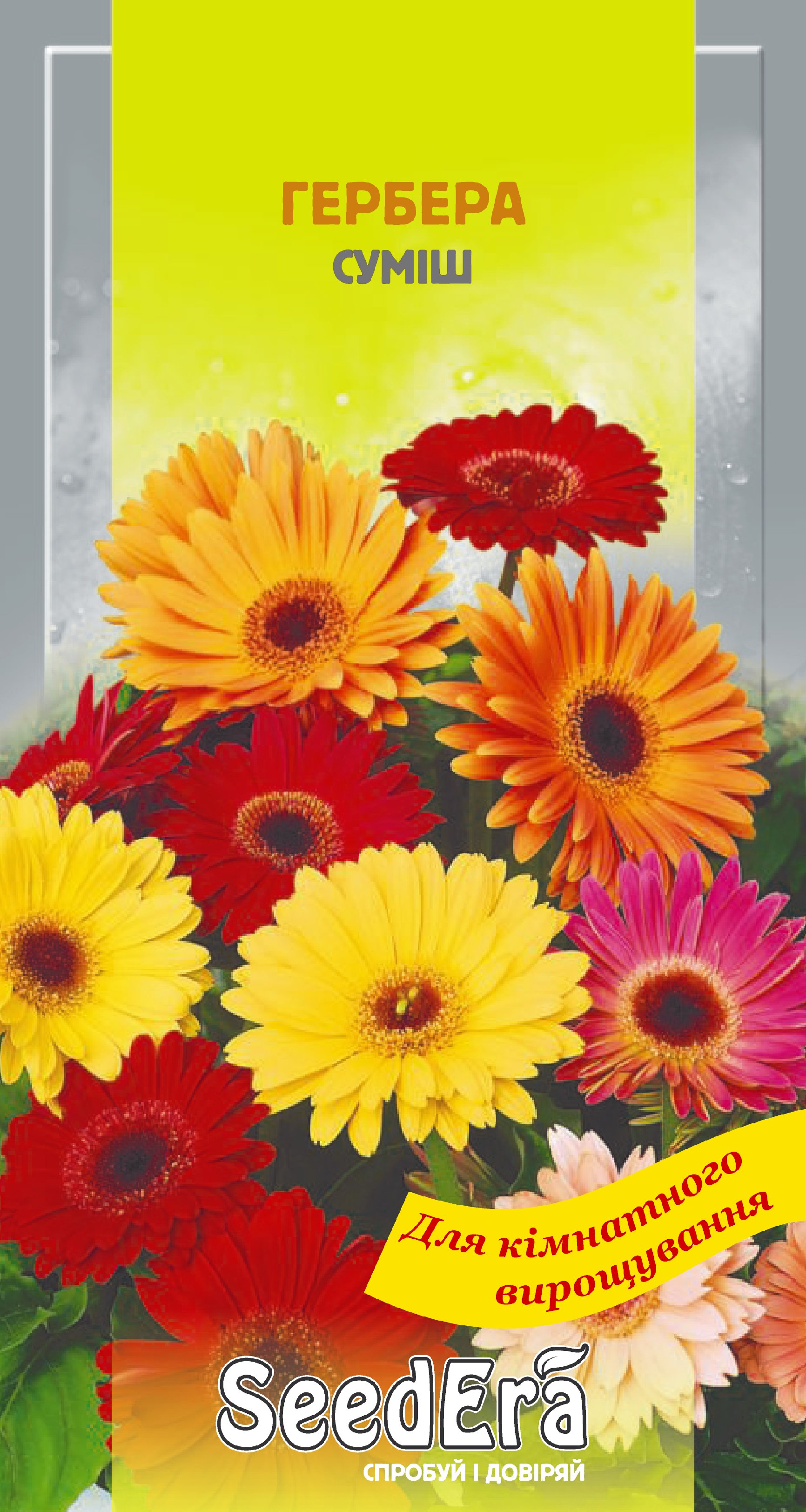Насіння Міні-кімнатні Квіти Гербера суміш, 5 шт.