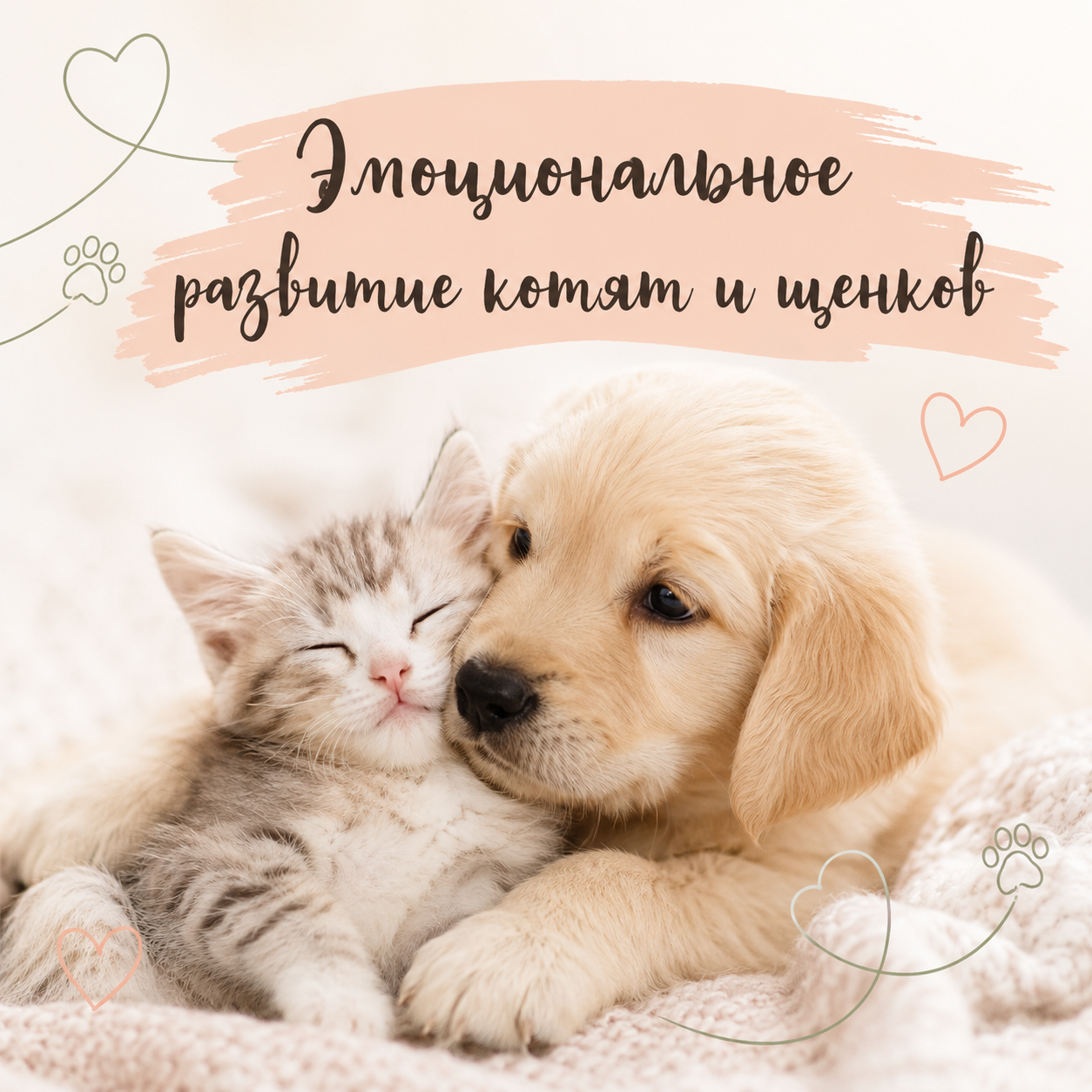 Эмоциональное развитие котят и щенков
