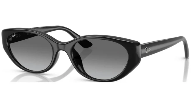 RAY BAN  RB 4457D 667711 55