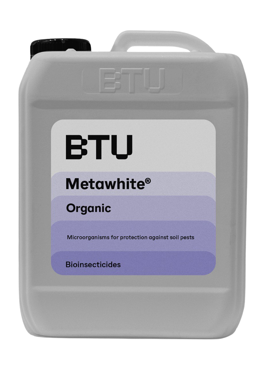 Metawhite
