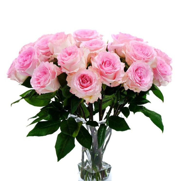 Мандала (Mandala)