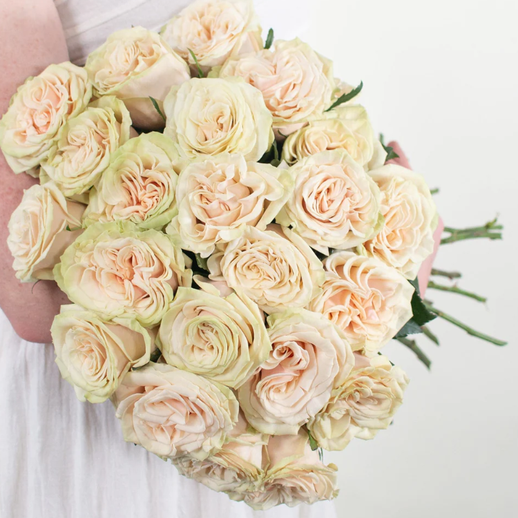 Cute Enigma — К’ют Енігма ( Кют Енігма )