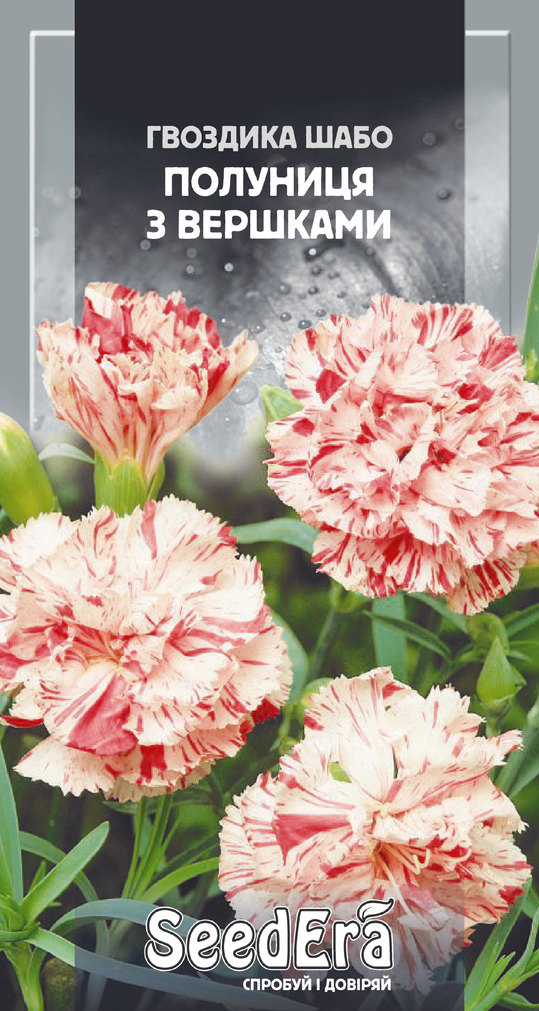 Насіння Квіти Гвоздика Шабо махрова. Полуниця з вершками, 0,2 г