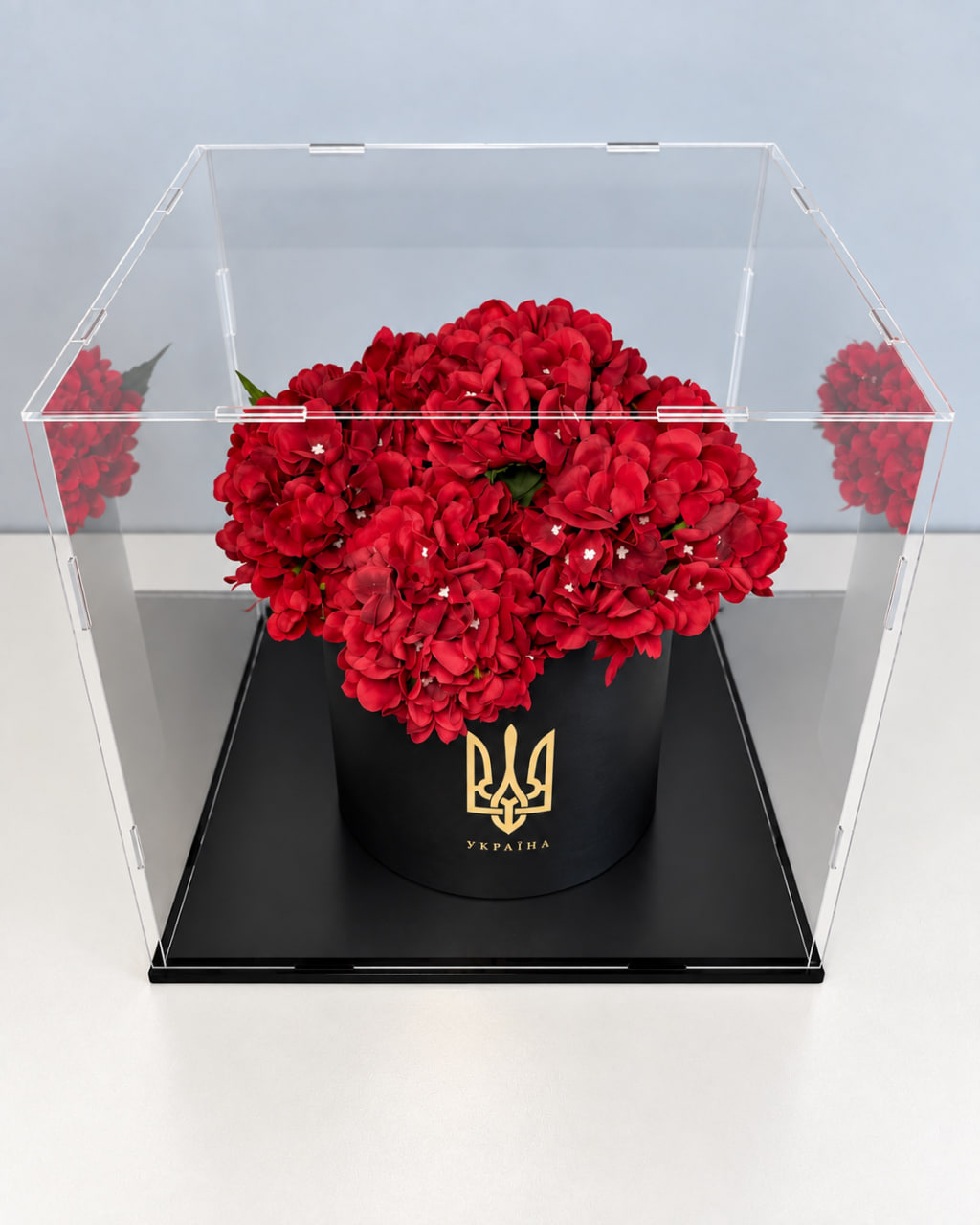 Готова композиція 🌹Гортензія бордова в кубі 