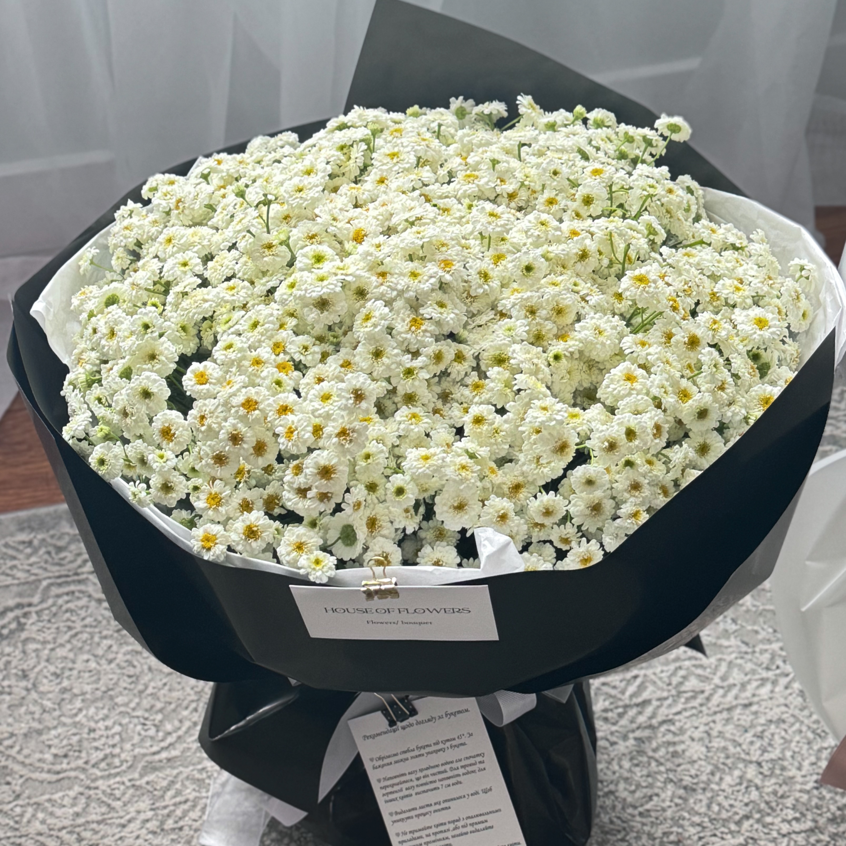 Monobouquet of daisies 100 pieces