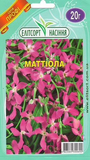 Насіння ПРОФ Квіти Маттіола 20г
