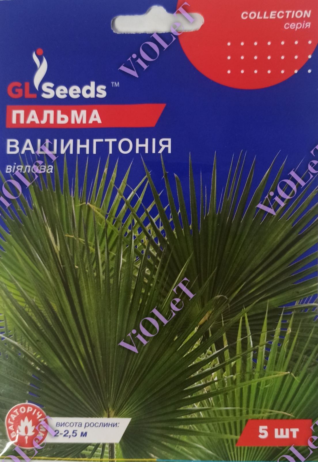 Пальма віялова Вашингтонія, 5 шт. GL Seeds