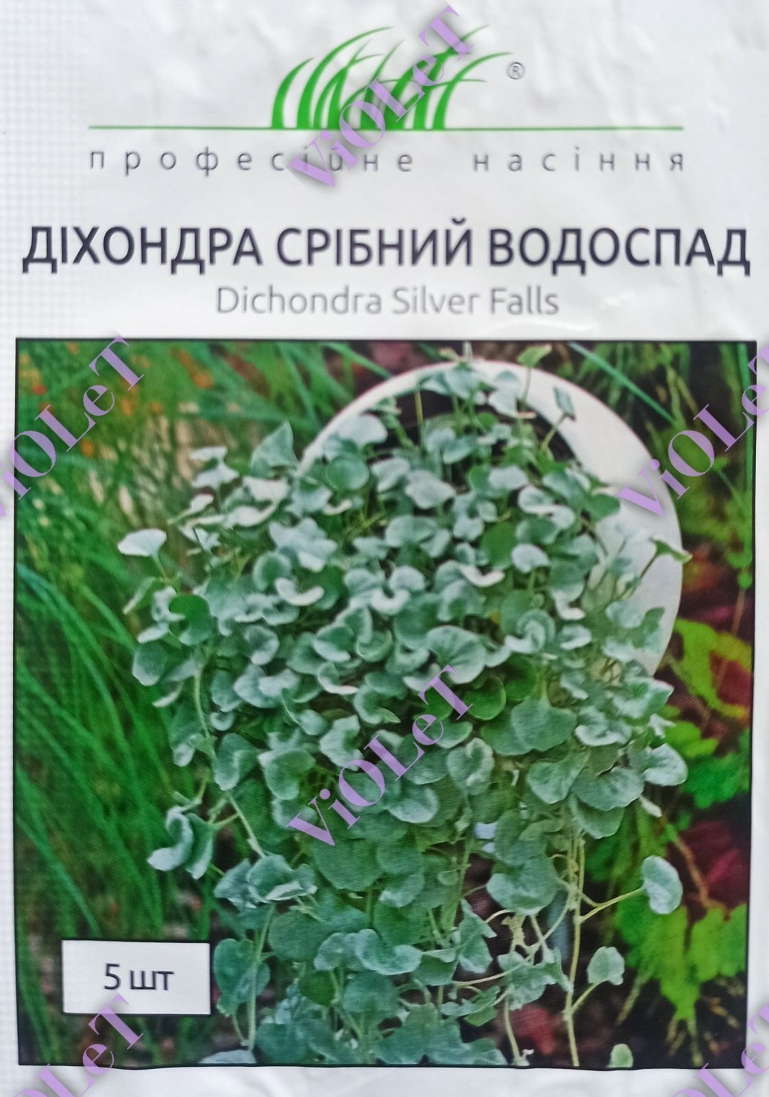 Діхондра Срібний Водоспад, 5 шт, Професійне насіння