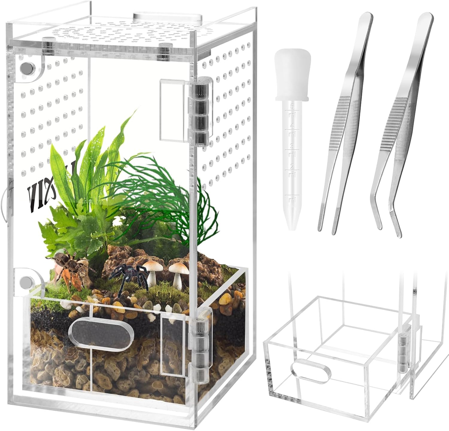 Mini Jumping Spider Enclosure with Tongs