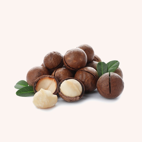 Nuez Macadamia