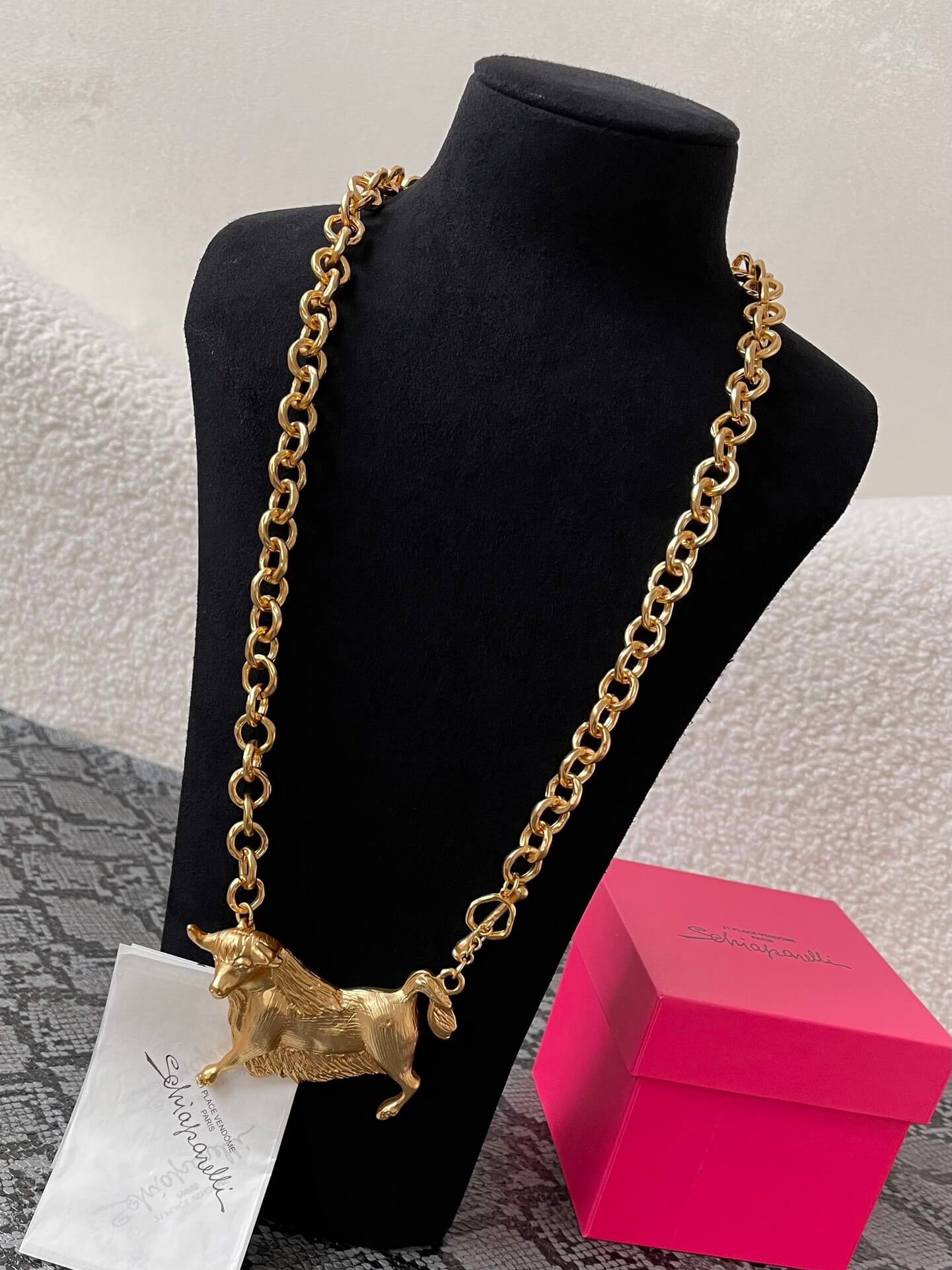 Schiaparelli підвіска