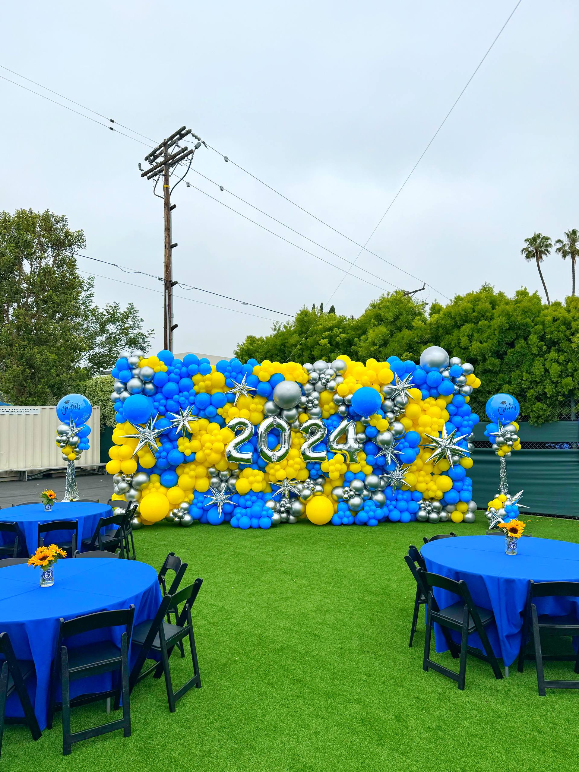 Graduation Year Balloon Wall Backdrop
