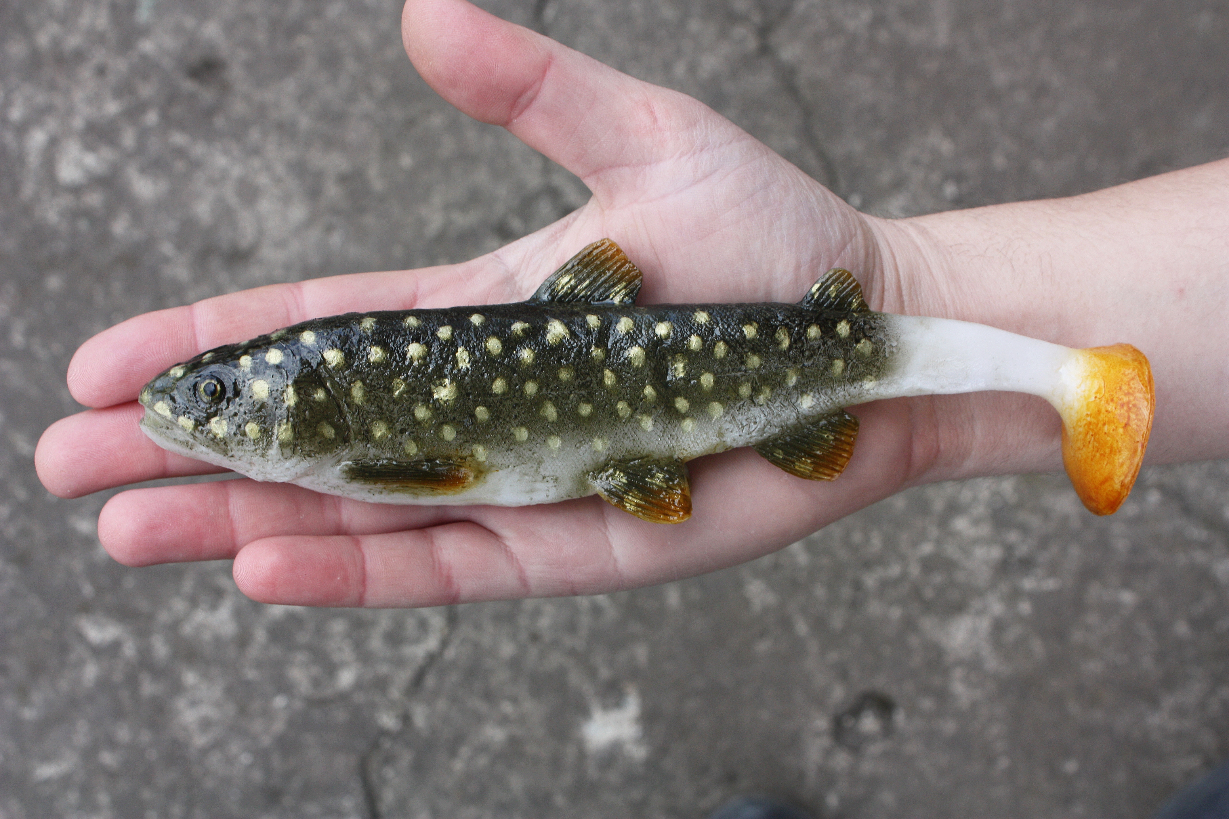 A&S Lake Trout 8.3" (210мм)