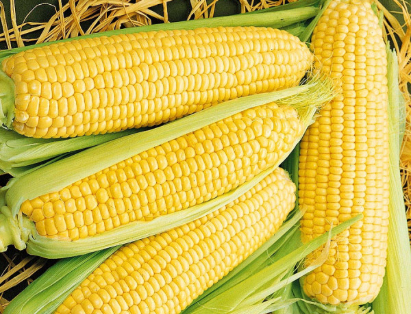 Кукурудза спокуса 20 гр