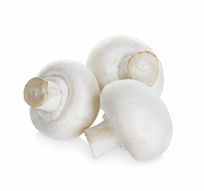 Witte Champignon