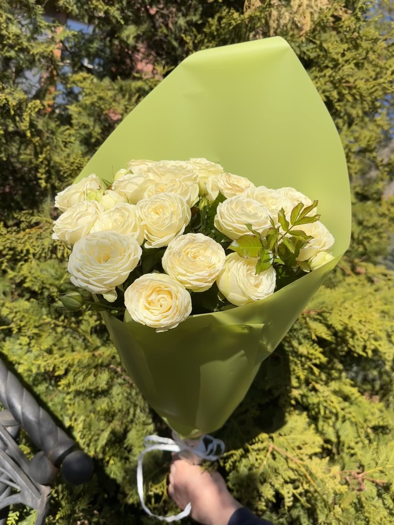 15 гілкових піоновидних троянд "Сноу Ворд"