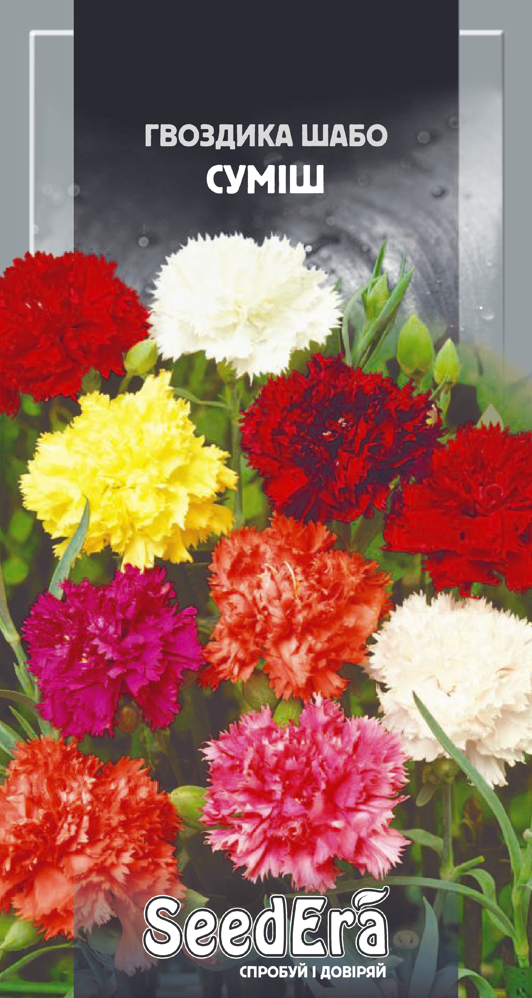 Насіння Квіти Гвоздика Шабо суміш, 0,2 г