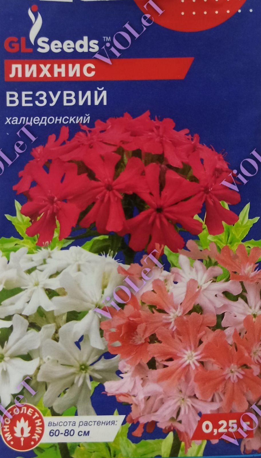 Ліхніс Везувій Халцедонський 0,25 г GL Seeds