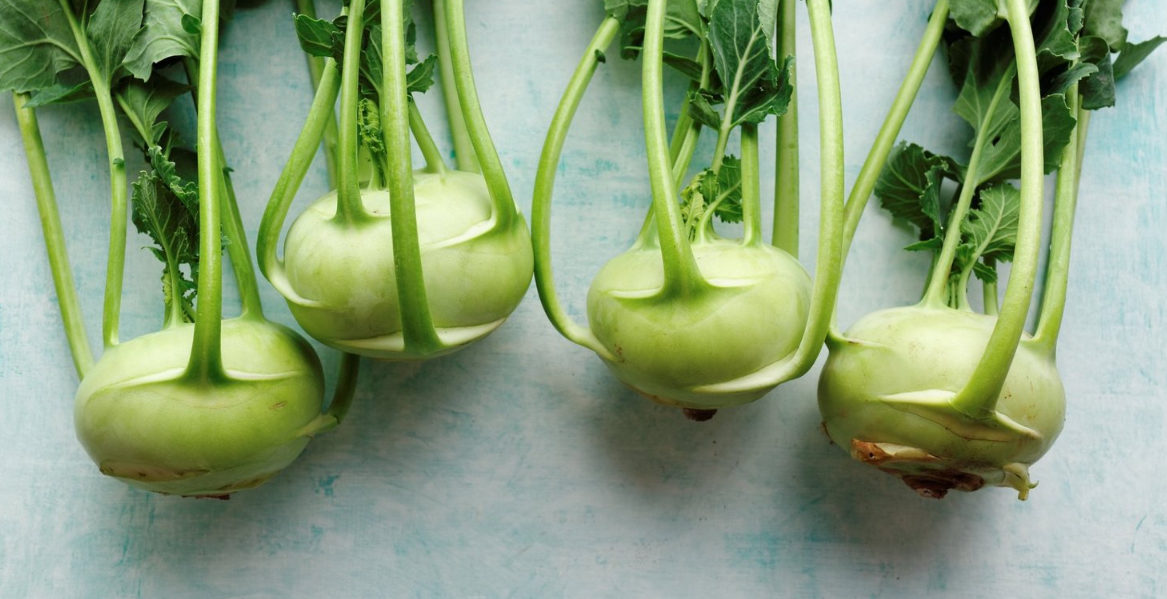 Капуста кольрабі віденська біла