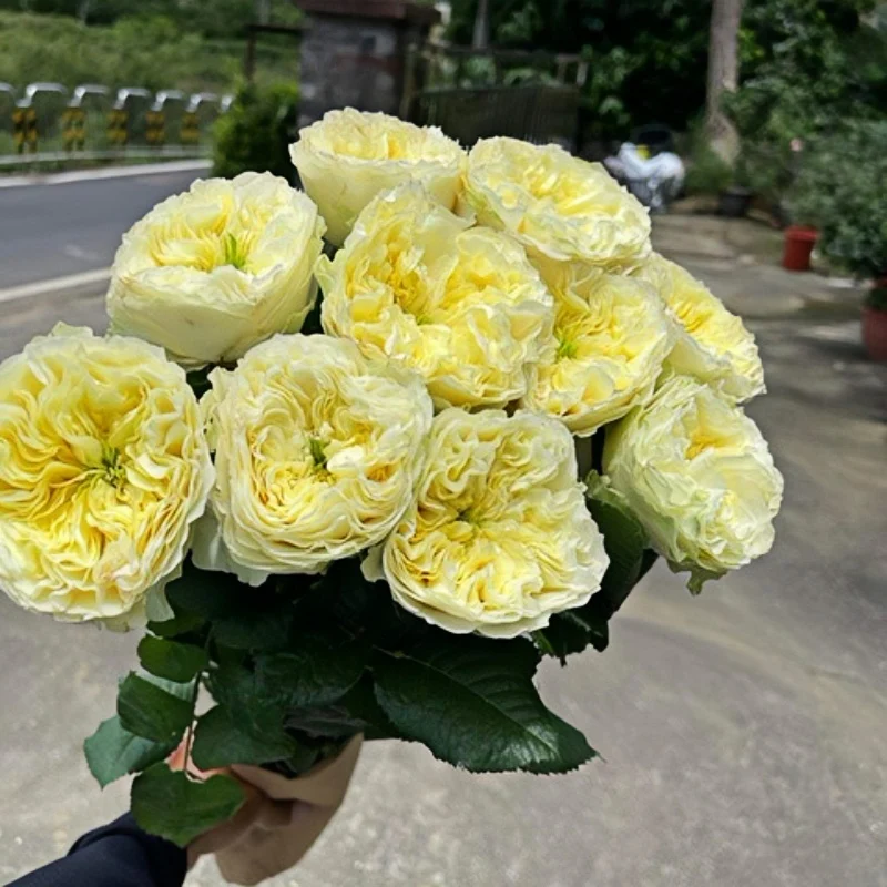 Солсбері Хілл — Solsbury Hill