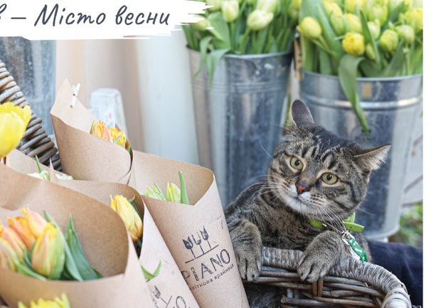 Листівка. Львів — місто веcни