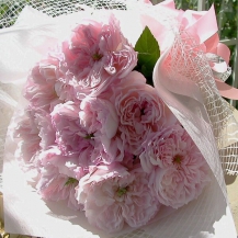 Сесіль де Воланж — Cecil de Volanges