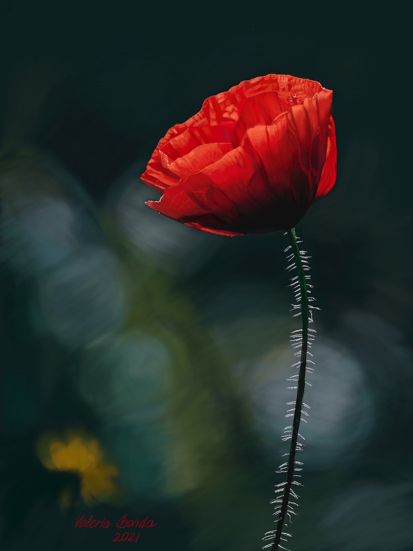 "Blood of Galaxy". Original digital print by Valeria Bonda, printed on a hoodie (unisex)