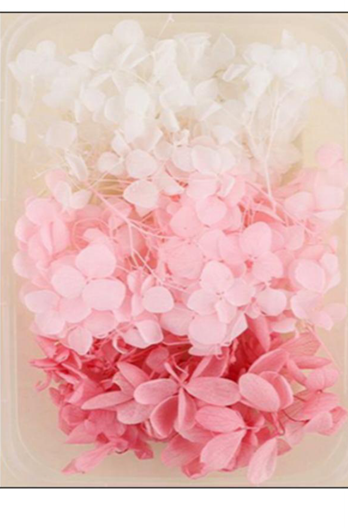 Dried Hydrangea ( 5gm )